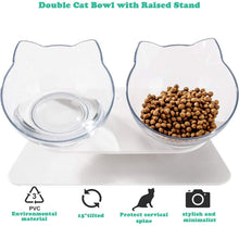 15 Degree Tilt Large Raised Stand Non Slip Double Cat Dog Water Food Bowl